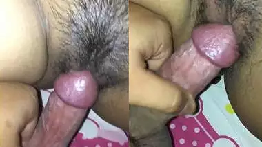 Hairy pussy fucked